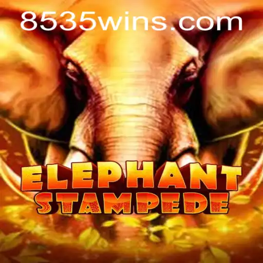 8535win.com Jogos de cassino